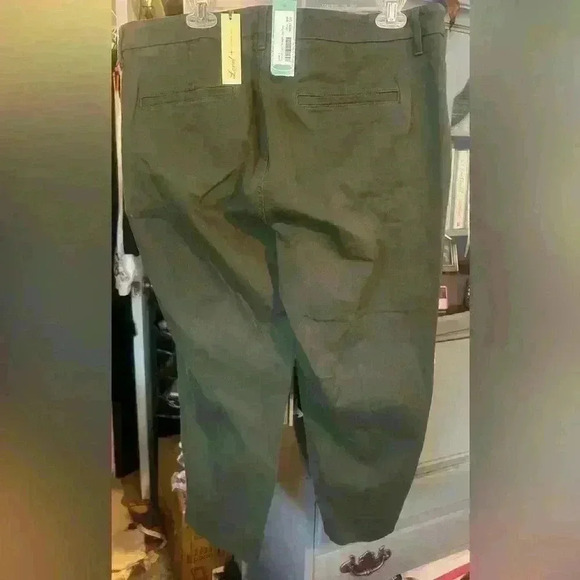NWT Level + Olive Francis Capri Straight Leg Pant sz 16 - Picture 6 of 9